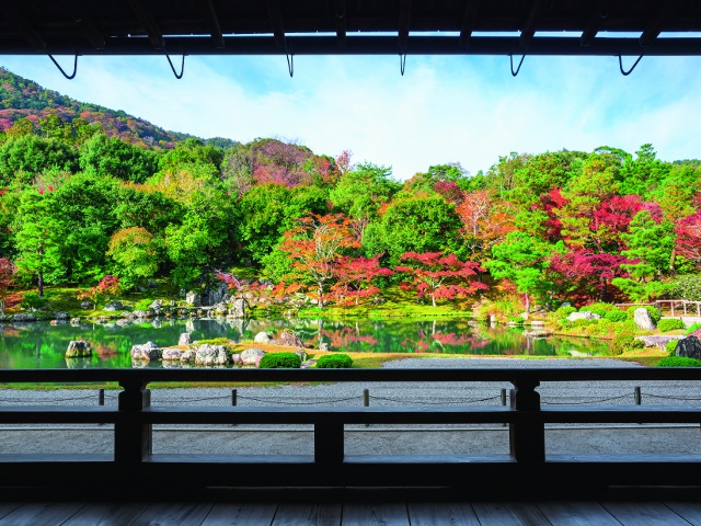 天龍寺　vol17　グラビア